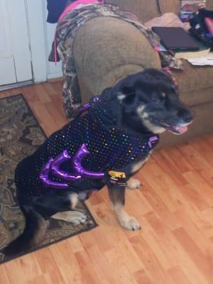 Two Notch Road Animal Clinic