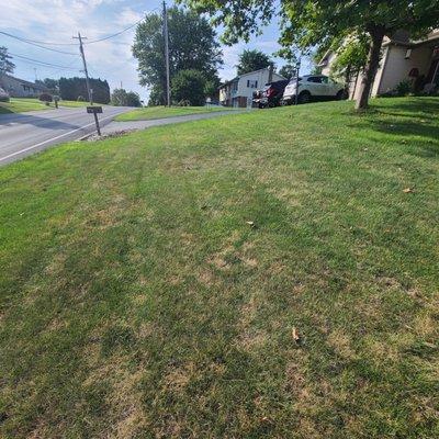 Tomlinson Bomberger Lawn Care & Landscape