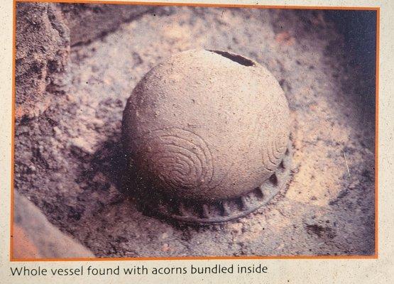 Moundville Archaelogical Park
