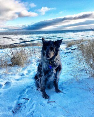 Dougherty Veterinary Clinics