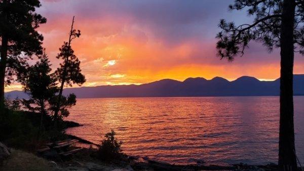 Shawn Sternick-PureWest