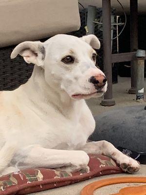 Curry Chiropractic and Sports Medicine