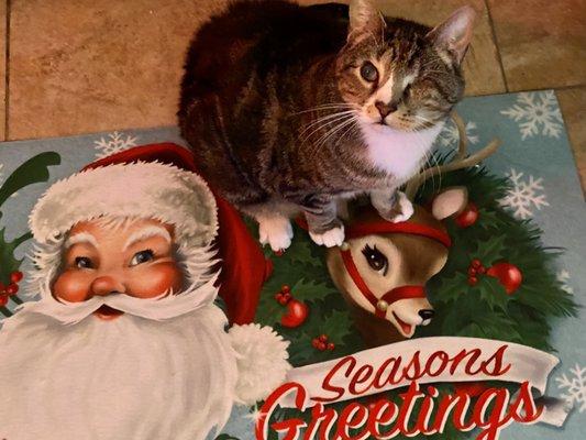 Evans King Floral Co.