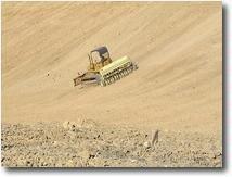 Native Seeders Company