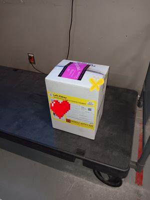 Kelevra Lightning Speed Logistics