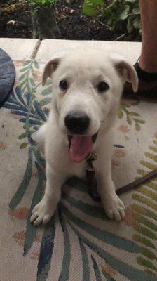 Creekside Animal Hospital