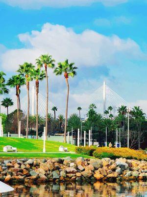 Can you spot the 2 mono-pole towers of the Long Beach International Gateway bridge? :)