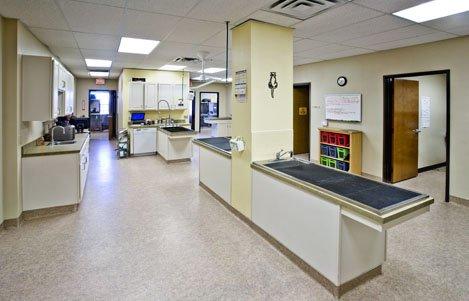 Abrams Forest Veterinary Clinic