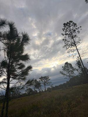 Blackwater Creek Preserve