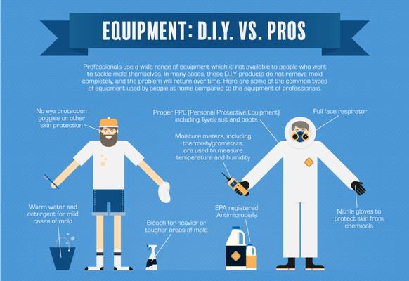 Mold remediation methods. DIY vs. Pros.