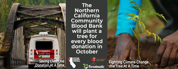 Northern California Community Blood Bank