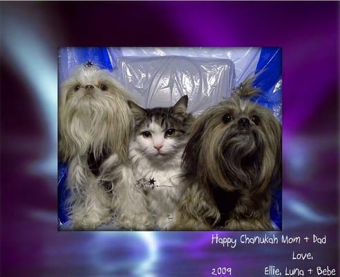 Ellie Luna & Bebe's pictures to their mommy and daddy !!