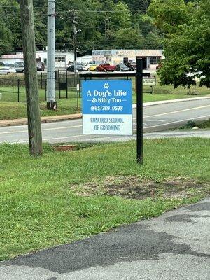 A Dog's Life and Kitty Too