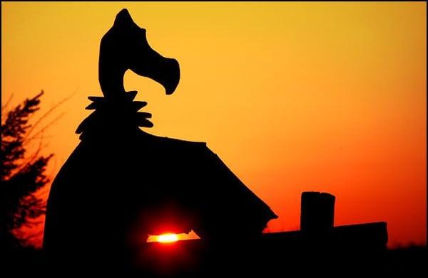 Vulture's Knob Sunset