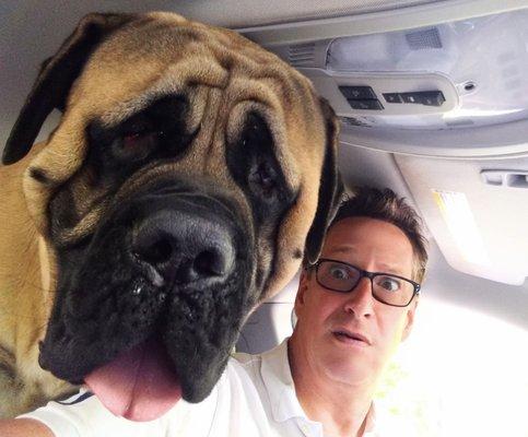 Maple Lawn Bed & Biscuit