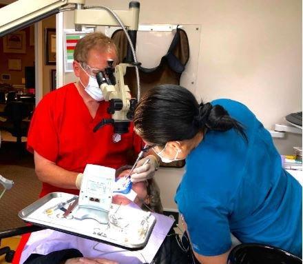 Dr. Richard S. Shapiro