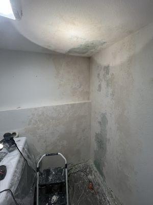 NTG Home & Maintenance Service