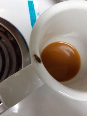 My coffee cup this morning!  I was drinking from this cup. Day ruined  :(