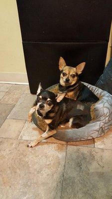 Brewster Veterinary Hospital