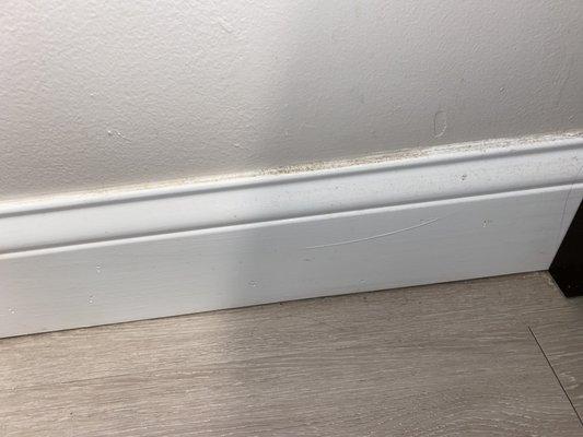 Elite Cleaning & Junk Removal Services