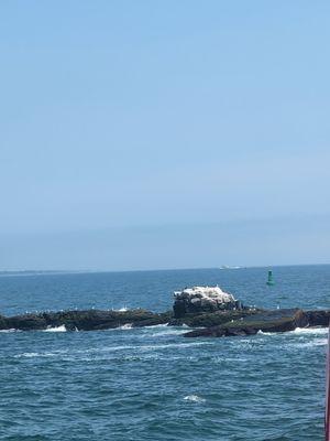 Whale Rock Lighthouse