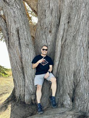 KPH Radio Station / Marconi RCA Wireless Station