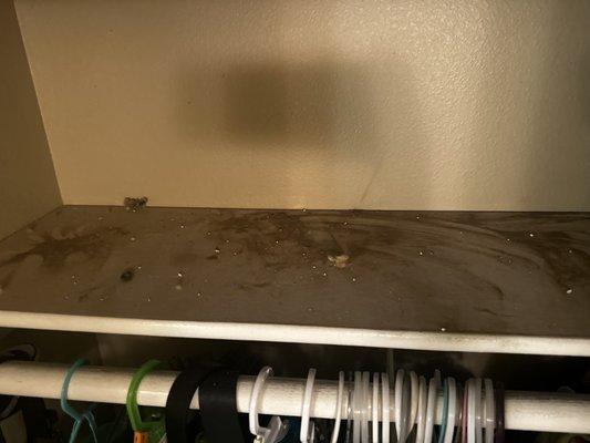 Cool Breeze Air Duct Cleaning