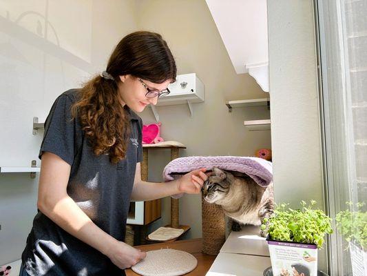 Many of our rooms have sunny windows with birdfeeders outside.