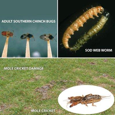Davis Exterminators Inc