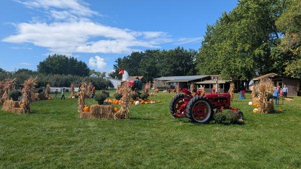 Fall Harvest Orchard