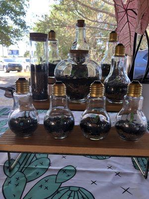 Acton Farmers Market