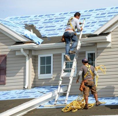 Roofing Parma