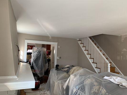 Shawn's Painting Services