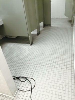 Michigan's Finest Floor Care