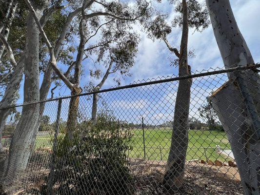 Torrey Pines Loop Nature Trail