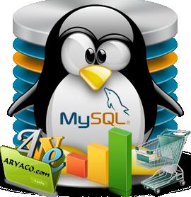 Miami Web Hosting Services