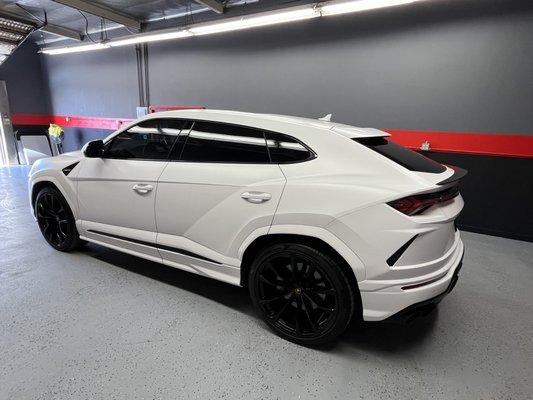 Tint & performance specialists