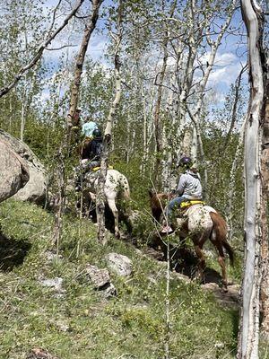 Jackson's Stables Inc