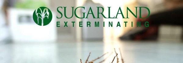 SugarLand Exterminating & Chemical Co Inc