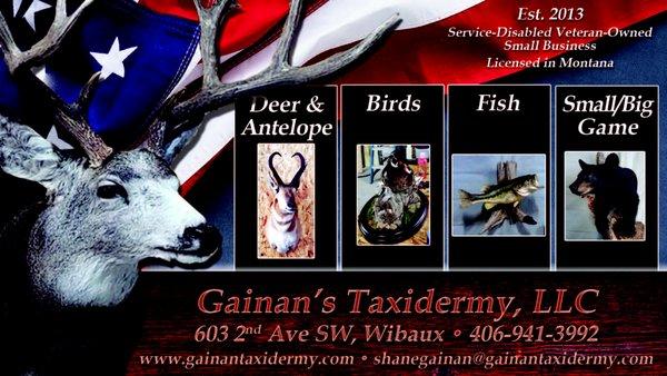 Gainan's Taxidermy