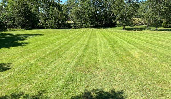 our job is to make yards look beautiful, as you see here
