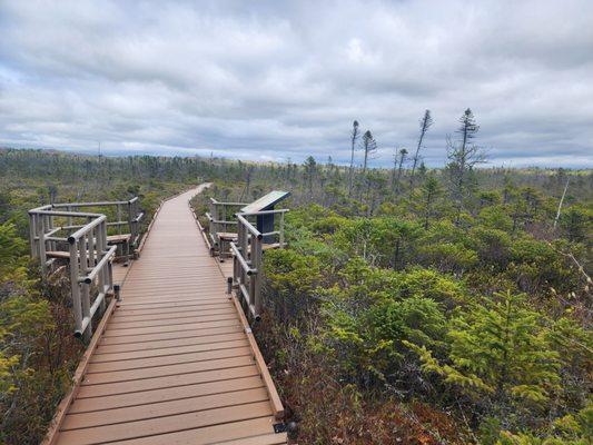 Orono Bog Boardwalk