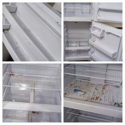 Natural Cleanse Cleaning Services