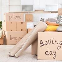 Southeast Elite Movers