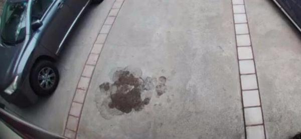 A Certified AutoWork