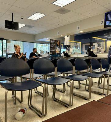 Department of Motor Vehicles