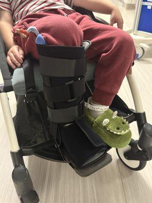 The Maria Montessori Center