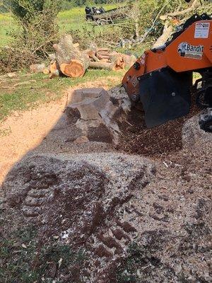 Sims Jones Affordable Stump Grinding