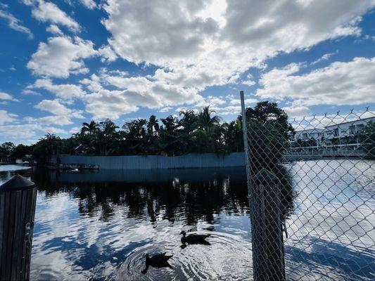 J Dewey Hawkins Landing