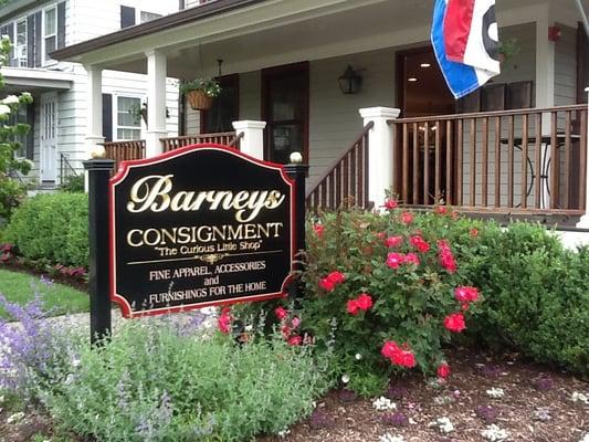 "The Curious Little Shop"